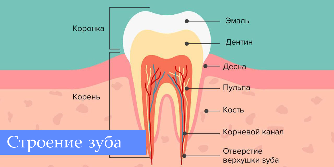 Кариес и все что с ним связано